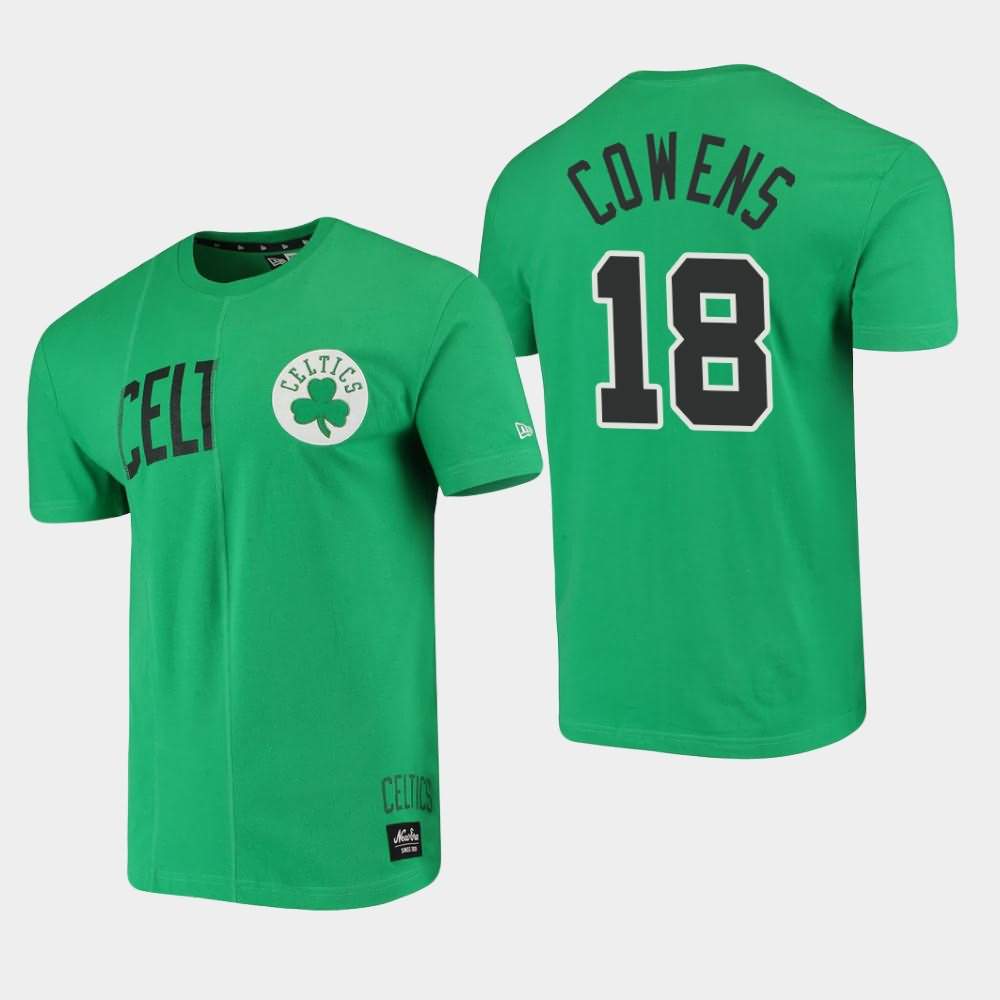 Men's Boston Celtics #18 David Cowens Green Cut Sew Applique Brushed Wordmark Logo T-Shirt OAF35E6H